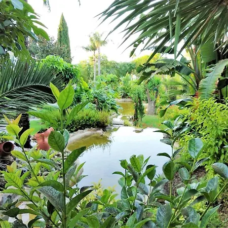 With 2 Bedrooms In With Shared Pool Furnished Terrace And Wifi 300 M From The Beach *